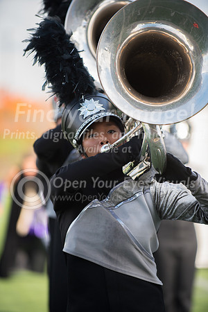 2016-LMAC- Kamiak Show Band-22