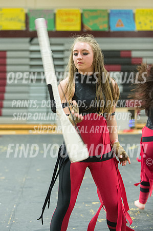 2015-Glencoe-SouthridgeDanceAndGuardEnsemble-62