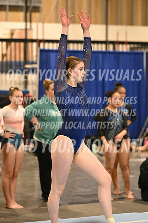 2025-RealmClassic-Friday-Floor-Xcel Diamond Sapphire 8910-Bainbridge Island-RR-10