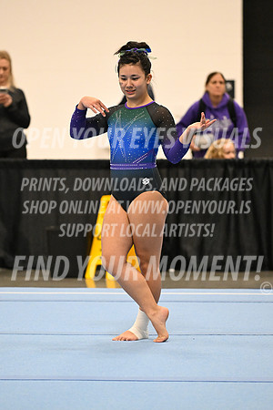 2025-NextEra-Friday-GymB-Platinum-GymnasticsConnection-BH-0050