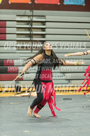 2015-Glencoe-SouthridgeDanceAndGuardEnsemble-24