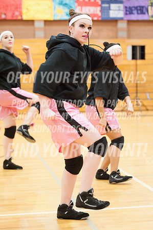 2014-OYEV-NWPA-Kamiak-SkyviewExhibition-15