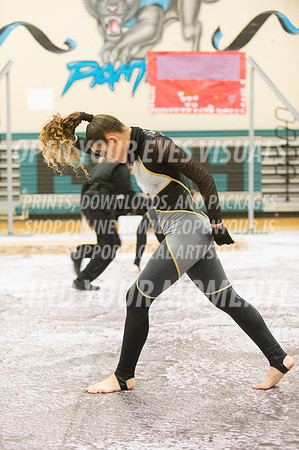 2015-BonneyLake-Skyview-62