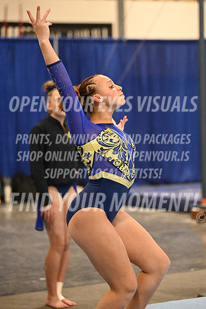 2025-RealmClassic-Friday-Floor-Xcel Diamond Sapphire 8910-Coastal Realms-RR-21