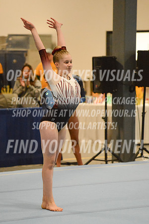 2025-RealmClassic-Friday-Session3-Platinum-Floor-Olympic-JJ-0019